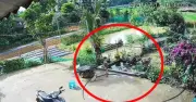 Bé trai 4 tuổi ở Tuyên Quang hô hoán cứu em gái 2 tuổi thoát khỏi đuối nước