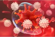 Bộ Y tế trả lời kiến nghị cử tri về nguyên nhân gia tăng ung thư