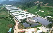 Ba trại lợn ở Thanh Hóa vi phạm môi trường, bị xử phạt nặng