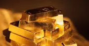 Biến động cổ phiếu vàng kéo theo làn sóng kiện tập thể tại Mỹ