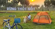 Biến rừng thốt nốt hoang sơ thành điểm du lịch cộng đồng độc đáo ở Bảy Núi