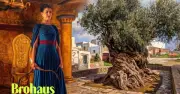 Bản phim The Odyssey của Nolan thay chiếc giường bằng tiếng dây cung – tinh tế hơn