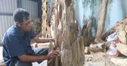 Bàn tay người thợ Khánh Hòa đánh thức trầm hương tiền triệu từ gỗ dó bầu