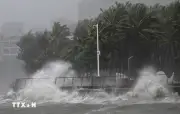 Bão Maysak đổ bộ, Trung Quốc cấm tàu thuyền hoạt động 5 ngày