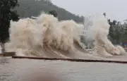 Bão Maysak: Quảng Ninh, Hải Phòng, Hưng Yên sẵn sàng ứng phó
