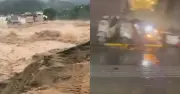 Bão Maysak tàn phá Trung Quốc: 2 người chết, gần 50.000 người sơ tán