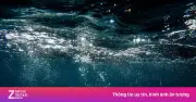 Báo động nguồn nước Trái Đất cạn kiệt oxy, đe dọa ổn định hành tinh