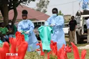 Báo động số người chết vì Ebola và đậu mùa khỉ tại châu Phi vẫn tăng