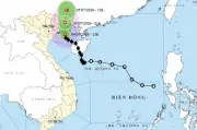 Bão số 1 áp sát Quảng Ninh, Đông Bắc Bộ có mưa rất to