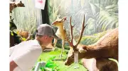 Bảo tàng Động thực vật giữa lòng Sài Gòn kể chuyện thiên nhiên