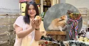 Cô gái TP.HCM nhân giống hamster khổng lồ, đưa thú cưng thi quốc tế
