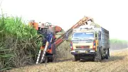 Cơ giới hóa nông nghiệp Nghệ An: Từ mảnh ruộng nhỏ đến cánh đồng lớn