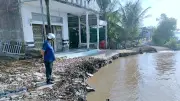 Cà Mau: 5 vụ sạt lở đất ven sông trong 3 ngày, thiệt hại hàng trăm triệu đồng