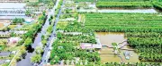Cà Mau: Cán bộ gạo cội xin nghỉ, mở đường cho người trẻ ở cơ sở