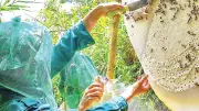 Cà Mau phê duyệt quy hoạch khu du lịch sinh thái hơn 1.300 ha tại U Minh Hạ
