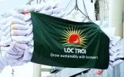 Cổ phiếu LTG của Tập đoàn Lộc Trời bị cảnh báo từ 14/7/2026