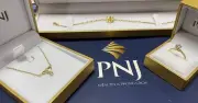 Cổ phiếu PNJ giảm sàn, dư bán hơn 10 triệu đơn vị sau vụ bắt nguyên giám đốc P-Lab