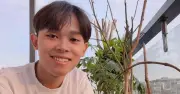 Ca sĩ Hồ Văn Cường mua nhà phố, tự tay chăm vườn rau xanh mướt