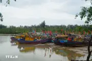 Các địa phương khẩn trương ứng phó bão số 1, bảo vệ người dân vùng nguy hiểm