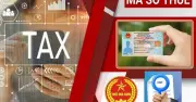 Cục Thuế cảnh báo: Cho mượn CCCD lập doanh nghiệp sẽ bị rà soát, xử lý nghiêm