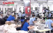 Cục Thuế khuyến nghị 5 việc doanh nghiệp cần làm ngay về thuế TNCN