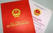Các trường hợp thu hồi Sổ đỏ mới nhất theo Luật Đất đai 2024