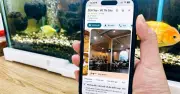 Cách tắt video tự động phát trên Google Maps khi tra cứu