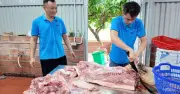 Chủ khách sạn mổ lợn đãi 50 du khách mắc kẹt giữa bão số 1 ở Cô Tô