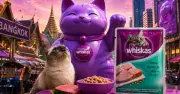 Chú mèo thần tài tím 10m giữa Bangkok: Whiskas 'sửa' biểu tượng văn hóa để bán dinh dưỡng
