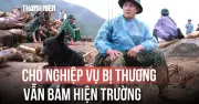 Chó nghiệp vụ Tinh Nhuệ bị thương vẫn quyết tâm tìm người mất tích