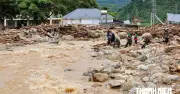 Chó nghiệp vụ tìm kiếm 4 nạn nhân mất tích ở Lai Châu
