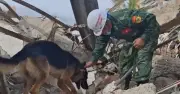 Chó nghiệp vụ Việt Nam được Venezuela trao Huân chương Công trạng