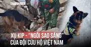 Chó nghiệp vụ Việt Nam nhận Huân chương Công trạng tại Venezuela