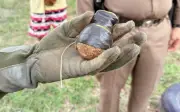 Chó tha lựu đạn còn sống về nhà, gia đình Thái Lan hốt hoảng