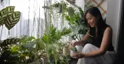 Chi tiền triệu làm ban công xanh: Xu hướng sống xanh của giới trẻ TP.HCM