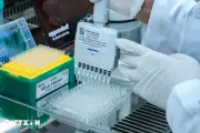 Chiến dịch 500 ngày đêm nối nhịp đoàn viên bằng dấu vết ADN