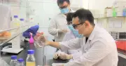 Chính phủ mở rộng diện xét tuyển viên chức, thu hút nhân lực chất lượng cao