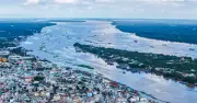 Cho con đứng tên sổ đỏ hơn 20 năm, cha mẹ mất trắng hơn 1ha đất