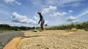 Chuỗi cung ứng toàn cầu đối mặt 'cú sốc kép' từ xung đột và El Niño