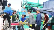 Chuyển đổi số giúp ngăn chặn khai thác IUU tại Bình Định
