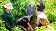 Chuyển đổi số nông nghiệp: Từ bán nông sản sang bán dữ liệu minh bạch