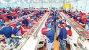 Chuyển động mới tại các khu công nghiệp An Giang: Khởi công Vàm Cống