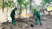 Cháy rừng tại Bảo Ninh và Bắc Trạch, Bộ đội Biên phòng khống chế kịp thời