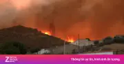 Cháy rừng Tây Ban Nha: 12 người chết, nhiều du khách mắc bẫy tử thần