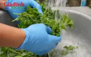 Cải xoong giá rẻ nhưng giàu dinh dưỡng, được CDC Mỹ xếp hạng rau lành mạnh nhất thế giới