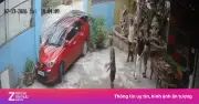 Clip mới vụ tài xế ôtô đâm loạn xạ ở quán karaoke Nghệ An