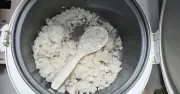 Cơm nguội không gây ung thư, nguy cơ chính là ngộ độc thực phẩm