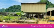 Cận cảnh trại lợn Dabaco Thanh Hóa sau vụ tai nạn khiến 5 người chết
