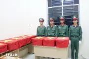 Cần Thơ bàn giao 670 mẫu sinh phẩm hài cốt liệt sỹ đi giám định ADN