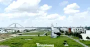 Cần Thơ chuyển gần 350 hồ sơ thuế bất động sản vi phạm sang công an